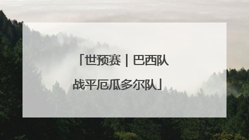 世预赛｜巴西队战平厄瓜多尔队