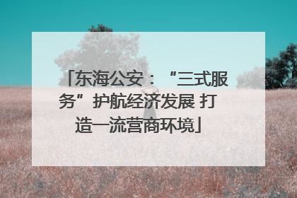 东海公安：“三式服务”护航经济发展 打造一流营商环境