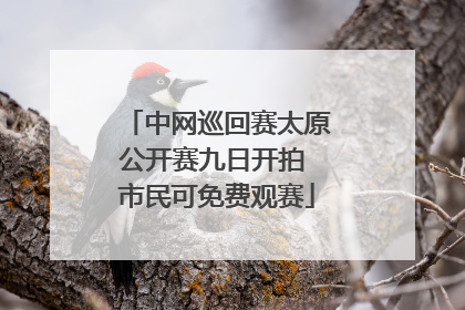 中网巡回赛太原公开赛九日开拍 市民可免费观赛