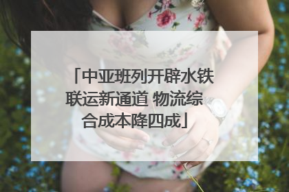 中亚班列开辟水铁联运新通道 物流综合成本降四成