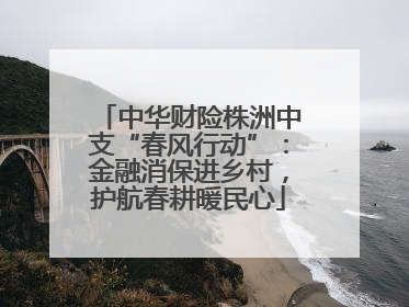 中华财险株洲中支“春风行动”：金融消保进乡村，护航春耕暖民心