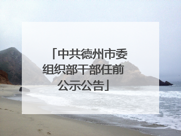中共德州市委组织部干部任前公示公告