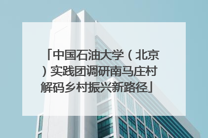 中国石油大学（北京）实践团调研南马庄村解码乡村振兴新路径