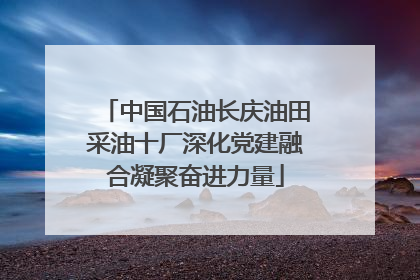 中国石油长庆油田采油十厂深化党建融合凝聚奋进力量