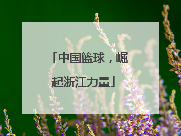 中国篮球，崛起浙江力量