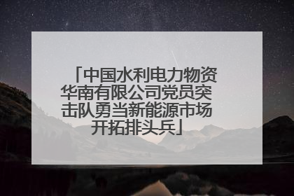 中国水利电力物资华南有限公司党员突击队勇当新能源市场开拓排头兵