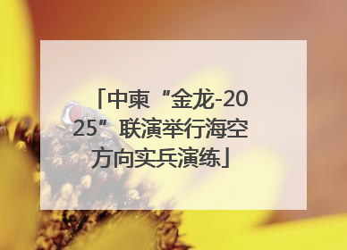 中柬“金龙-2025”联演举行海空方向实兵演练