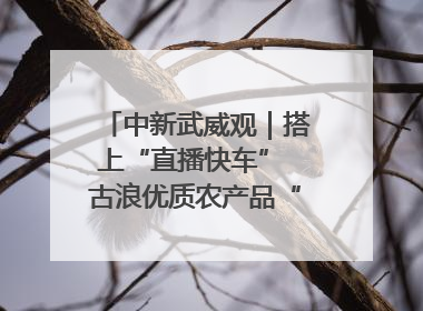中新武威观｜搭上“直播快车” 古浪优质农产品“云端”走俏