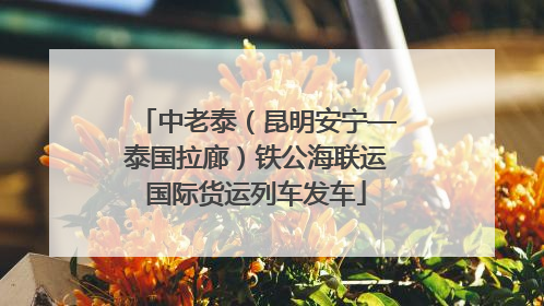 中老泰（昆明安宁—泰国拉廊）铁公海联运国际货运列车发车