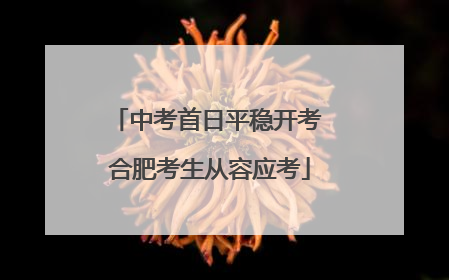 中考首日平稳开考 合肥考生从容应考
