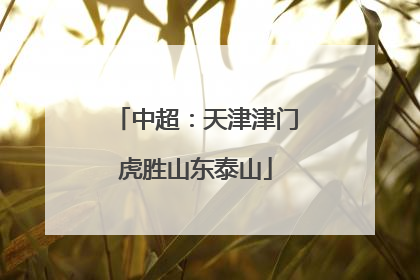 中超：天津津门虎胜山东泰山