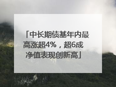 中长期债基年内最高涨超4%，超6成净值表现创新高