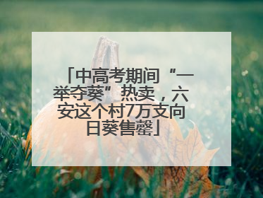 中高考期间“一举夺葵”热卖，六安这个村7万支向日葵售罄