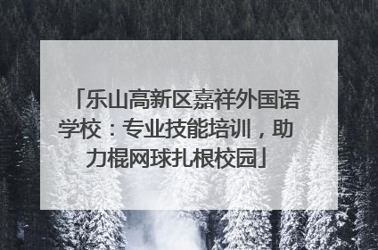 乐山高新区嘉祥外国语学校：专业技能培训，助力棍网球扎根校园