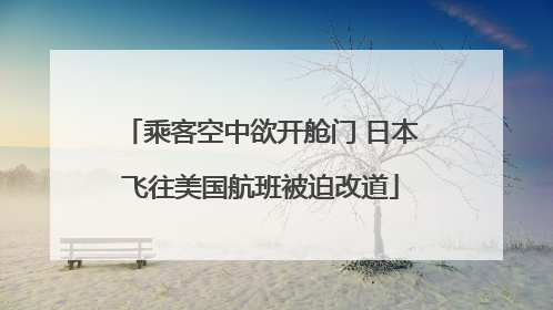 乘客空中欲开舱门 日本飞往美国航班被迫改道
