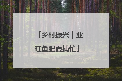 乡村振兴｜业旺鱼肥夏捕忙