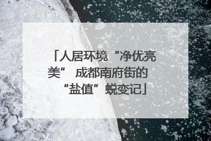 人居环境“净优亮美” 成都南府街的“盐值”蜕变记