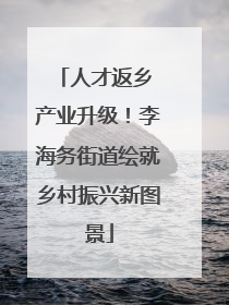 人才返乡 产业升级！李海务街道绘就乡村振兴新图景