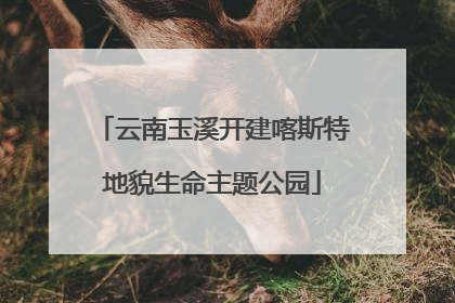 云南玉溪开建喀斯特地貌生命主题公园