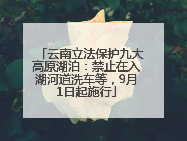 云南立法保护九大高原湖泊：禁止在入湖河道洗车等，9月1日起施行