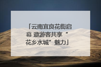 云南宜良花街启幕 邀游客共享“花乡水城”魅力