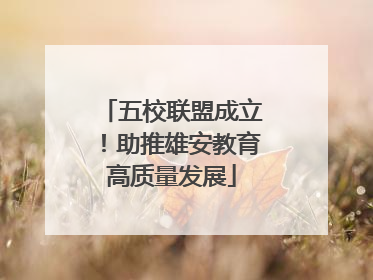 五校联盟成立！助推雄安教育高质量发展