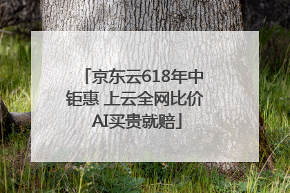 京东云618年中钜惠 上云全网比价 AI买贵就赔
