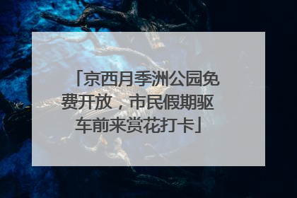 京西月季洲公园免费开放，市民假期驱车前来赏花打卡