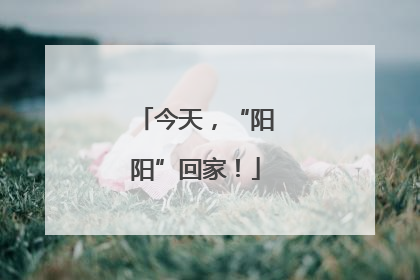 今天，“阳阳”回家！