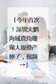 今年首次！深圳大鹏海域鹿角珊瑚大规模产卵了，视频→