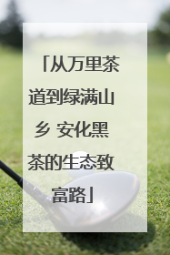 从万里茶道到绿满山乡 安化黑茶的生态致富路