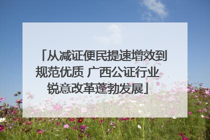 从减证便民提速增效到规范优质 广西公证行业锐意改革蓬勃发展