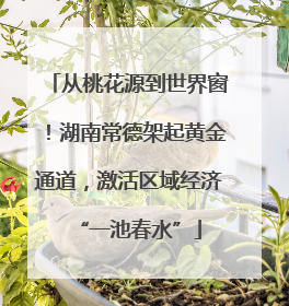 从桃花源到世界窗！湖南常德架起黄金通道，激活区域经济“一池春水”