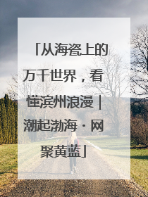 从海瓷上的万千世界，看懂滨州浪漫｜潮起渤海・网聚黄蓝