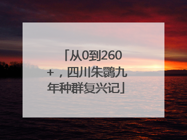 从0到260+，四川朱鹮九年种群复兴记