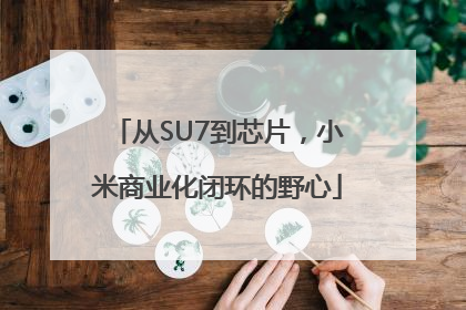 从SU7到芯片，小米商业化闭环的野心