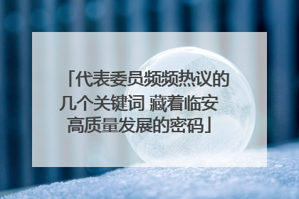 代表委员频频热议的几个关键词 藏着临安高质量发展的密码