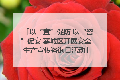 以“宣”促防 以“咨”促安 襄城区开展安全生产宣传咨询日活动