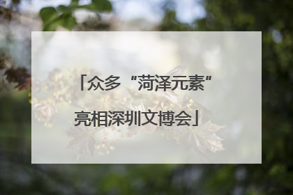 众多“菏泽元素”亮相深圳文博会