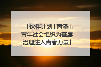 伙伴计划│菏泽市青年社会组织为基层治理注入青春力量
