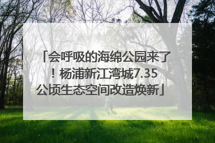 会呼吸的海绵公园来了！杨浦新江湾城7.35公顷生态空间改造焕新