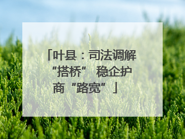 叶县：司法调解“搭桥” 稳企护商“路宽”