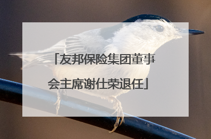 友邦保险集团董事会主席谢仕荣退任