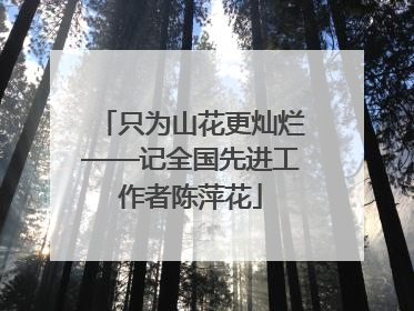 只为山花更灿烂——记全国先进工作者陈萍花