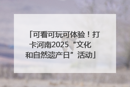 可看可玩可体验！打卡河南2025“文化和自然遗产日”活动