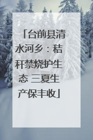 台前县清水河乡：秸秆禁烧护生态 三夏生产保丰收