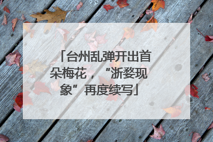 台州乱弹开出首朵梅花，“浙婺现象”再度续写