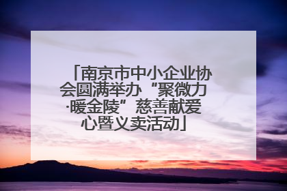 南京市中小企业协会圆满举办“聚微力·暖金陵”慈善献爱心暨义卖活动