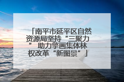 南平市延平区自然资源局坚持“三聚力” 助力擎画集体林权改革“新图景”