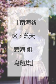南海新区：蓝天碧海 群鸟翔集